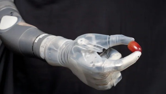 Advancements in Prosthetic Technology: Top 5 Prosthetic Hands on the Market image